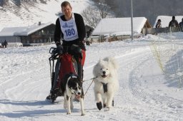 Lenk 2012 SM